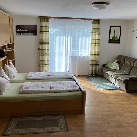 Ferienwohnung Haus Elfriede Neukirchen beim Heiligen Blut Exterior photo