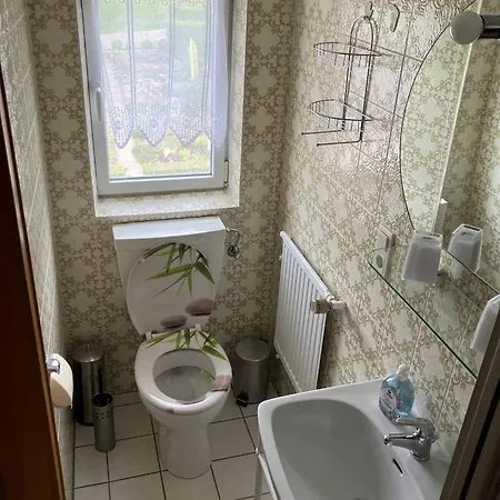 Ferienwohnung Haus Elfriede Neukirchen beim Heiligen Blut Exterior photo